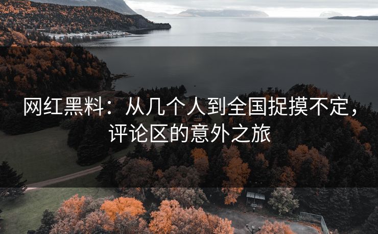 网红黑料：从几个人到全国捉摸不定，评论区的意外之旅