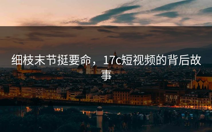 细枝末节挺要命，17c短视频的背后故事