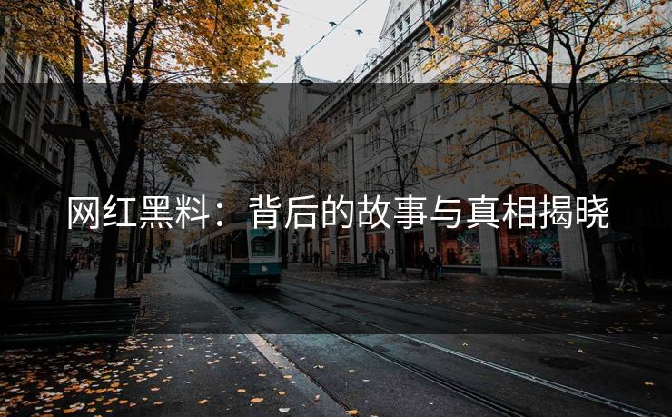 网红黑料：背后的故事与真相揭晓