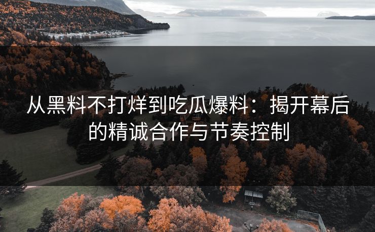 从黑料不打烊到吃瓜爆料：揭开幕后的精诚合作与节奏控制