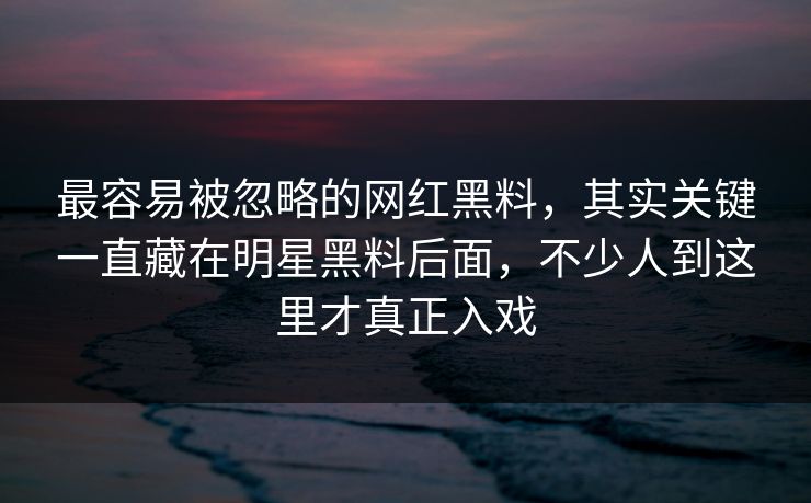 最容易被忽略的网红黑料，其实关键一直藏在明星黑料后面，不少人到这里才真正入戏