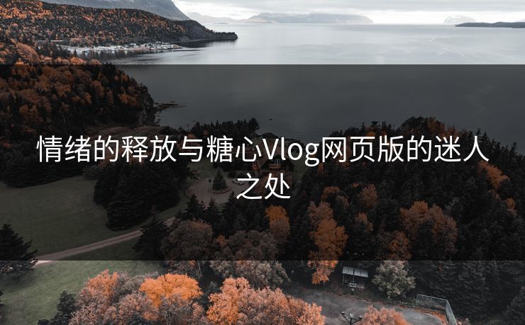 情绪的释放与糖心Vlog网页版的迷人之处