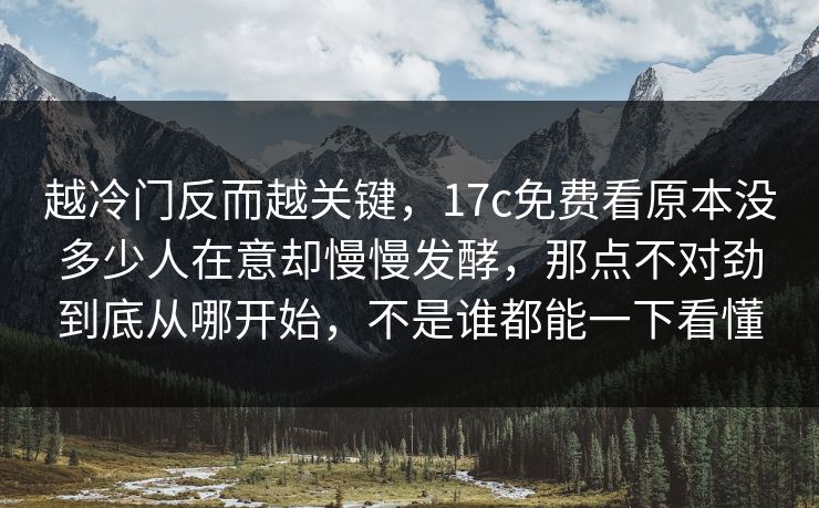 越冷门反而越关键，17c免费看原本没多少人在意却慢慢发酵，那点不对劲到底从哪开始，不是谁都能一下看懂